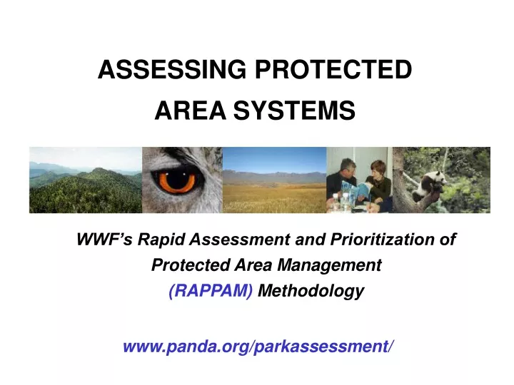 assessing protected area systems