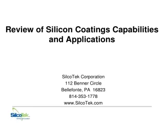 Review of Silicon Coatings Capabilities and Applications