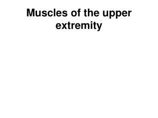 Muscles of the upper extremity