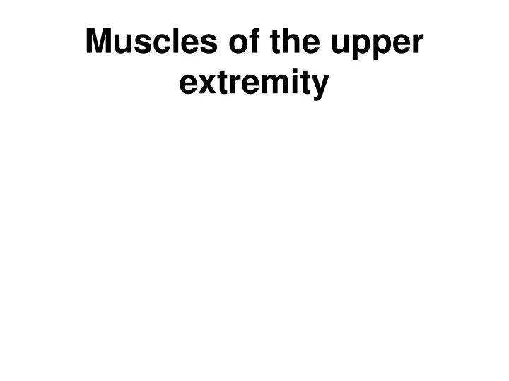 muscles of the upper extremity