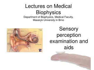 Sensory perception examination and aids