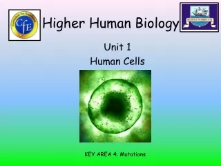 Higher Human Biology