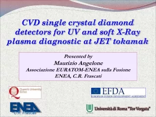 Presented by  Maurizio Angelone Associazione EURATOM-ENEA sulla Fusione ENEA, C.R. Frascati