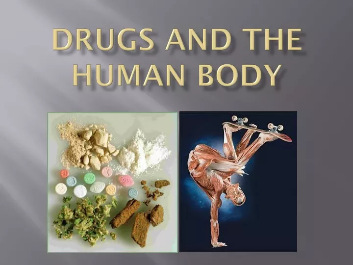 drugs and the human body