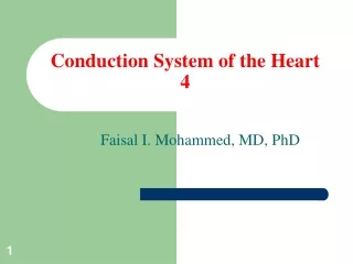 Conduction System of the Heart 4