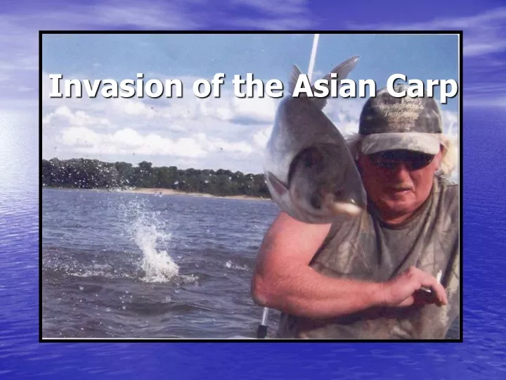 invasion of the asian carp