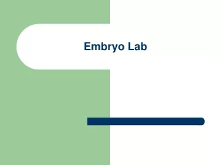 Embryo Lab