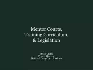 Mentor Courts,  Training Curriculum,  &amp; Legislation