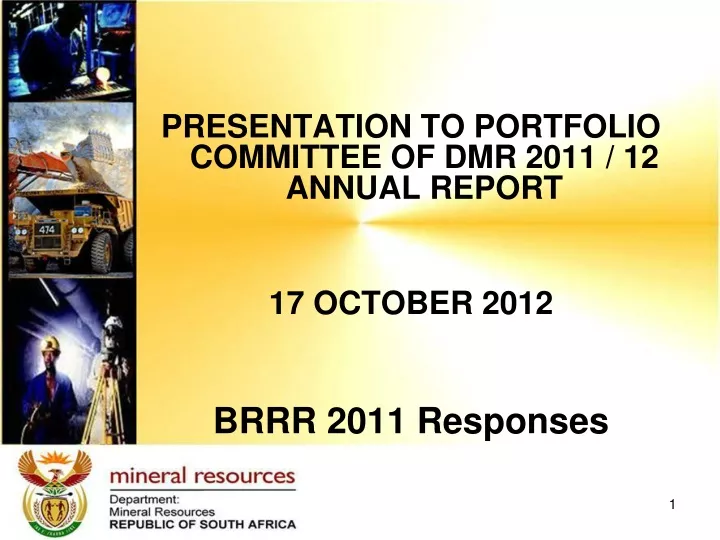 presentation to portfolio committee of dmr 2011