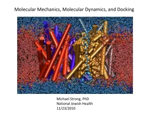 Molecular Mechanics, Molecular Dynamics, and Docking