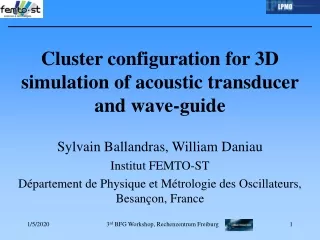 Cluster configuration for 3D simulation of acoustic transducer and wave - guide