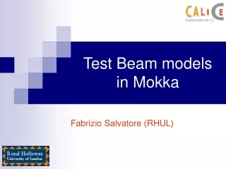 Test Beam models in Mokka