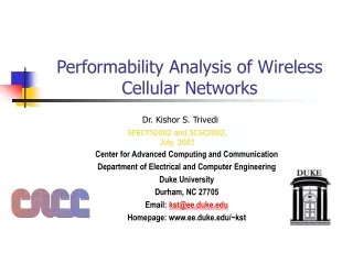 Performability Analysis of Wireless Cellular Networks