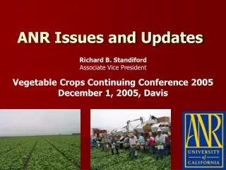 ANR Issues and Updates