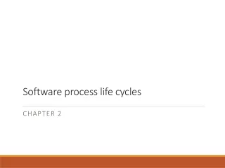 Software process life cycles