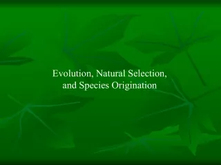 Evolution, Natural Selection, and Species Origination