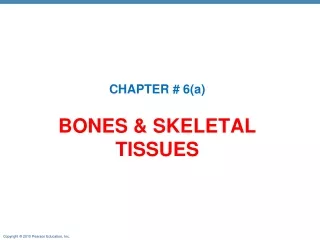 Bones  &amp; SKELETAL TISSUES