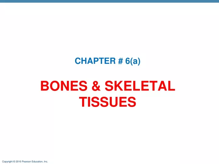 bones skeletal tissues