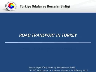 ROAD TRANSPORT IN TURKEY