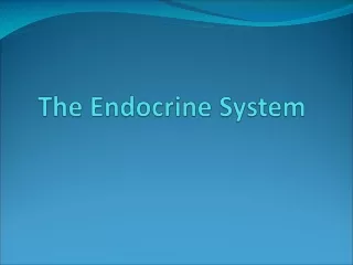 The Endocrine System