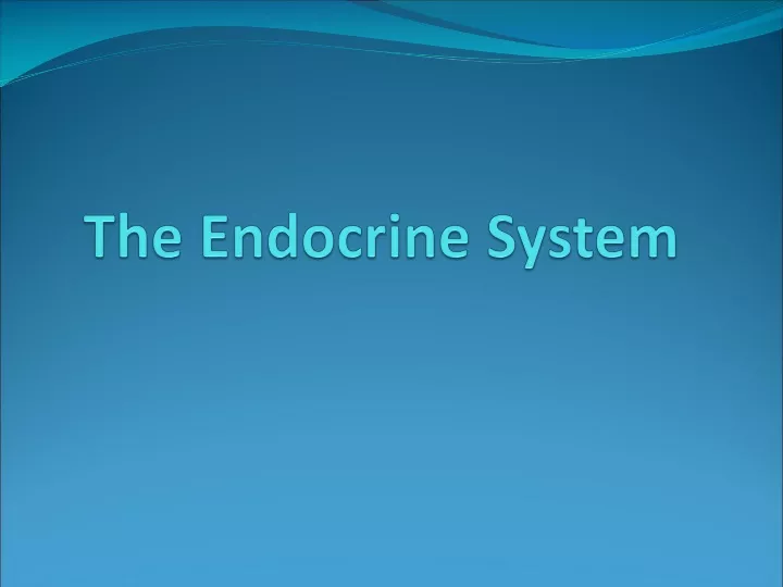 the endocrine system