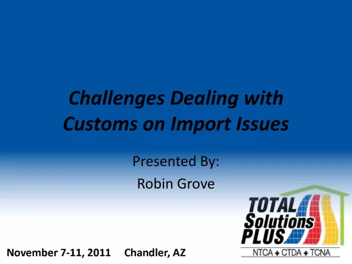 challenges dealing with customs on import issues