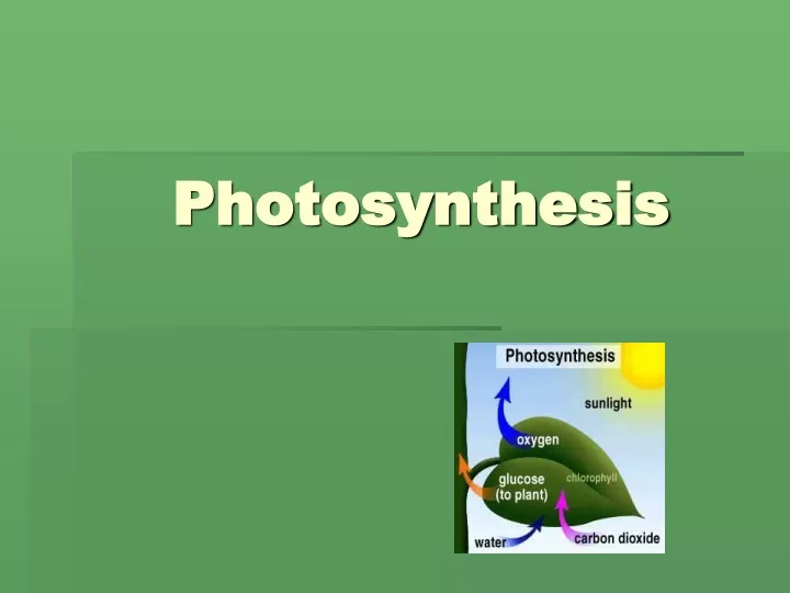 photosynthesis