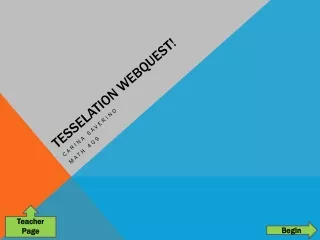 Tesselation WebQuest !