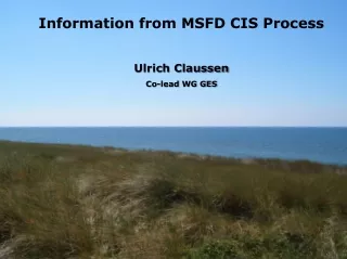 Information from MSFD CIS Process Ulrich Claussen Co- lead  WG GES