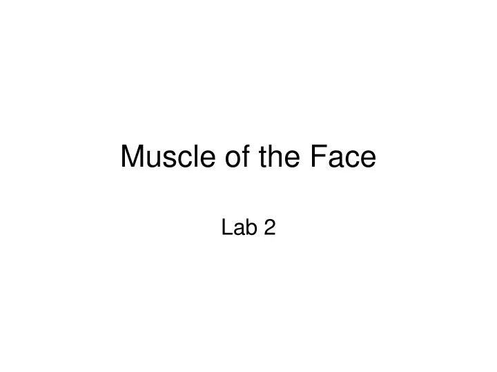 muscle of the face