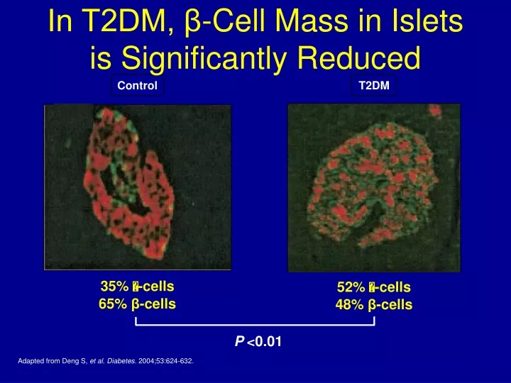 in t2dm cell mass in islets is significantly reduced