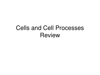 Cells and Cell Processes Review