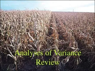 Analyses of Variance Review