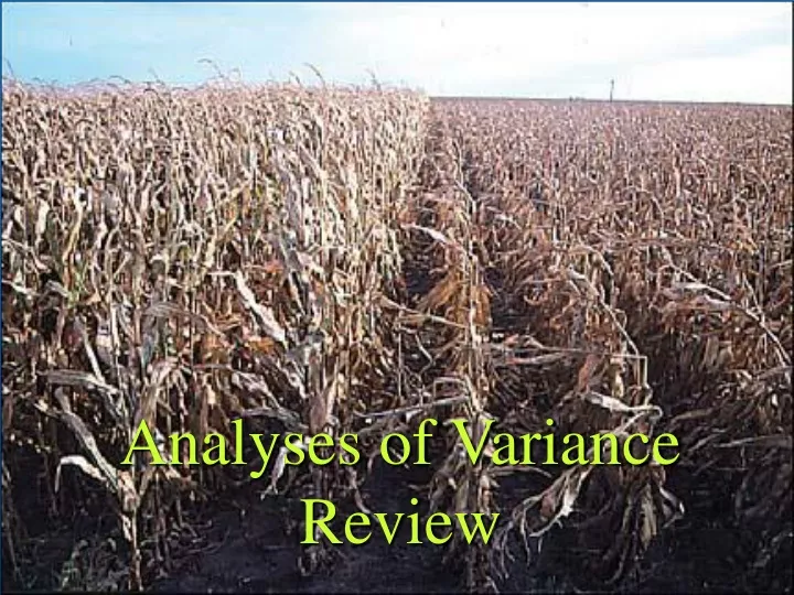 analyses of variance review