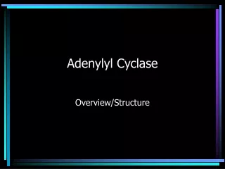 Adenylyl Cyclase