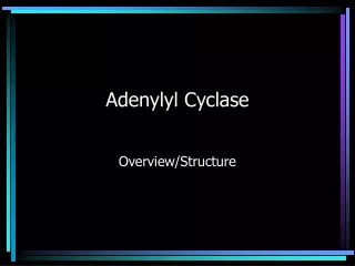 adenylyl cyclase