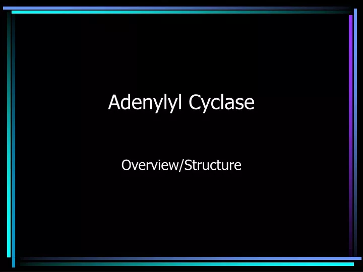 adenylyl cyclase