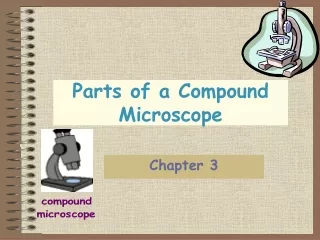 Parts of a Compound Microscope