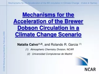 Mechanisms for the Acceleration of the Brewer Dobson Circulation in a Climate Change Scenario