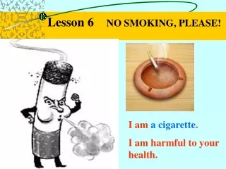 Lesson 6     NO SMOKING, PLEASE!