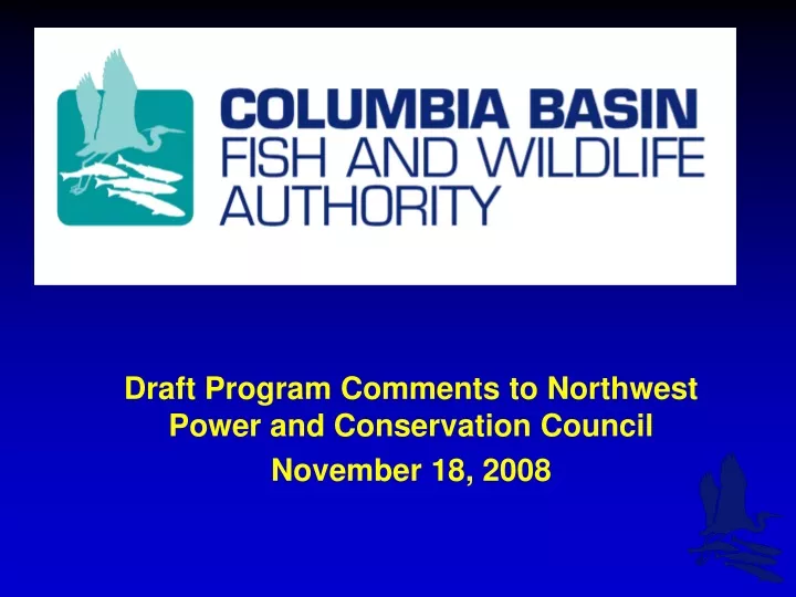 draft program comments to northwest power and conservation council november 18 2008