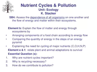 Nutrient Cycles &amp; Pollution Unit: Ecology K. Stacker