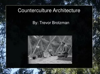 Counterculture Architecture