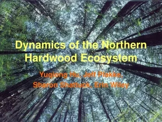 Dynamics of the Northern Hardwood Ecosystem