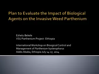 Plan to Evaluate the Impact of Biological Agents on the Invasive Weed Parthenium