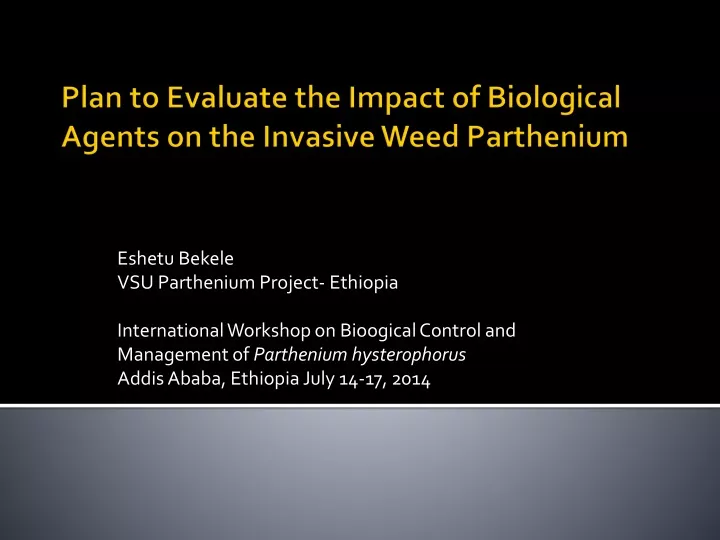 plan to evaluate the impact of biological agents on the invasive weed parthenium