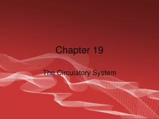 Chapter 19