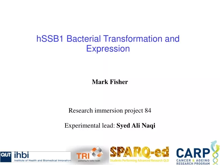 hssb1 bacterial transformation and expression