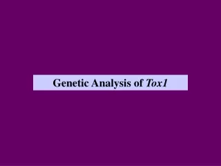 Genetic Analysis of  Tox1