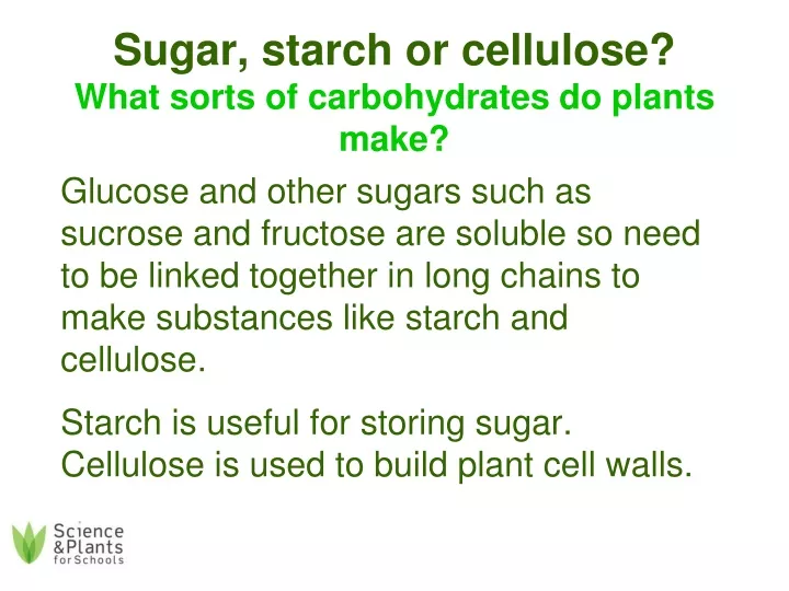 sugar starch or cellulose what sorts of carbohydrates do plants make